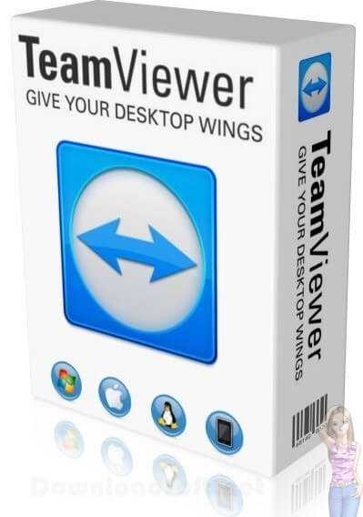 Descargar TeamViewer 