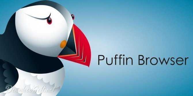 Download Puffin Browser 2025 Most Secure Way to Surf Free