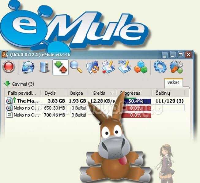 eMule Télécharger Gratuit 2025 Client de Partage de Fichiers